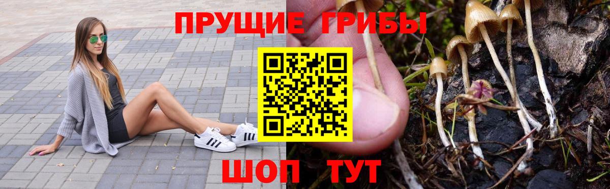 Псилоцибиновые грибы ЛСД Кулебаки